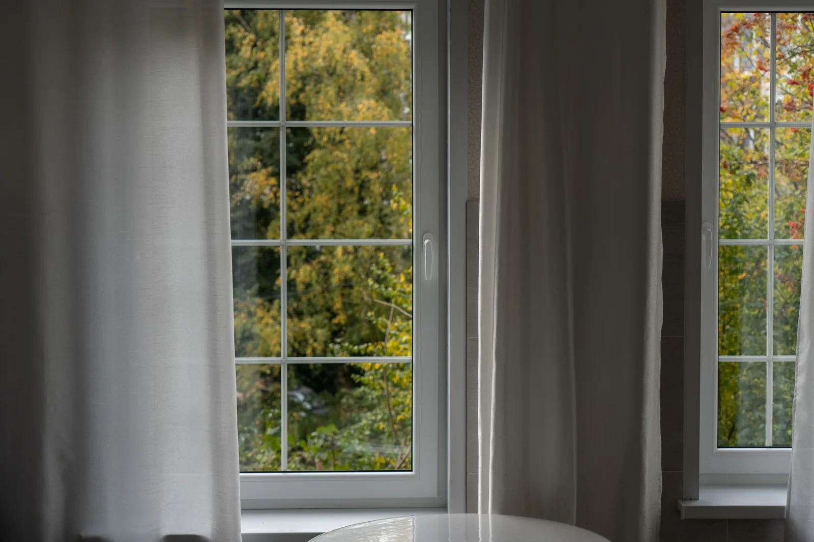 best window replacement cost