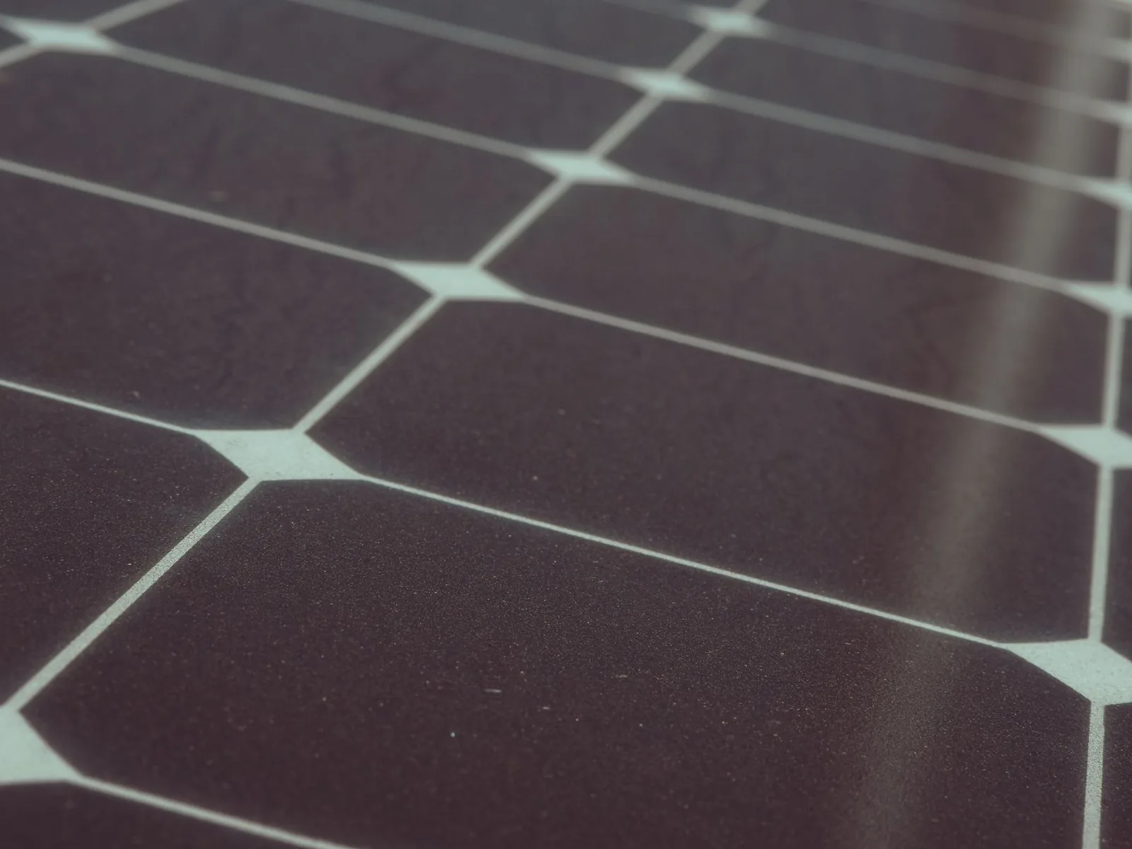 A row of solar panels being installed, showing typical panel cost in context