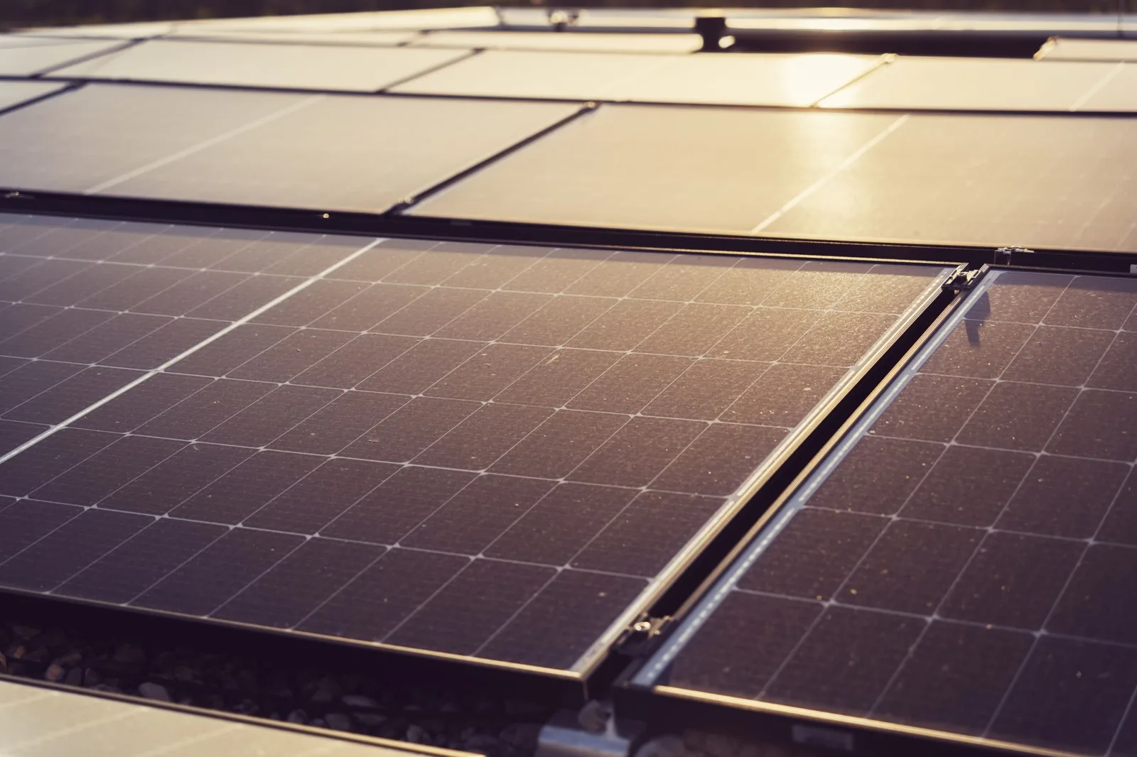 A technician installing residential solar panels on a roof