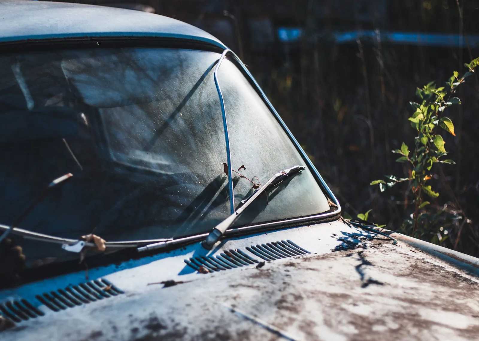 windshield replacement cost comparison