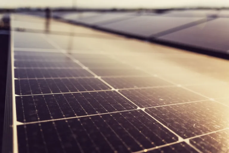 How Much Does a Typical Solar Panel Cost? (2025 Price Guide)