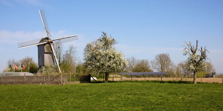 Price One Solar Panel Cost: What Homeowners Pay in 2025