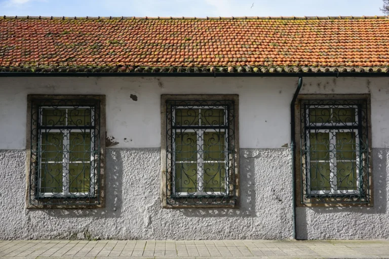 How Much Do Replacement Windows Usually Cost? A 2025 Price Guide