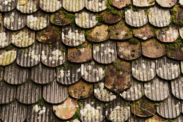 How Much Would Roof Replacement Cost? (2025 Pricing Guide)